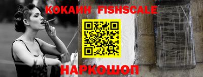 крисы Кулебаки