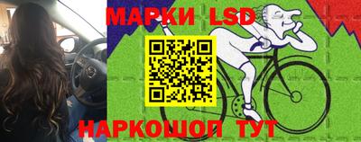 крисы Кулебаки